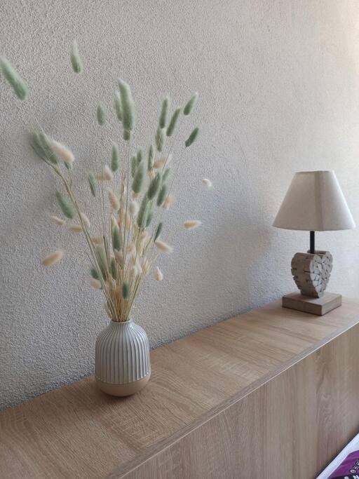 Appartement Cosy Au Coeur Du Mercantour Valdeblore Exteriér fotografie